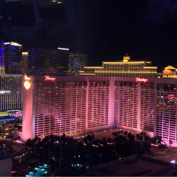 Meet your Posher, Yanra - Picture 3 of 5